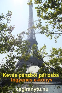 Kev&eacute;s p&eacute;zb�l P&aacute;rizsba ingyenes e-k&ouml;nyv